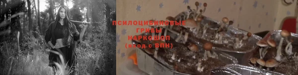 кристаллы Краснослободск