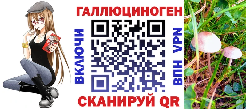 Псилоцибиновые грибы MAGIC MUSHROOMS  Купить закладки  Отрадное 